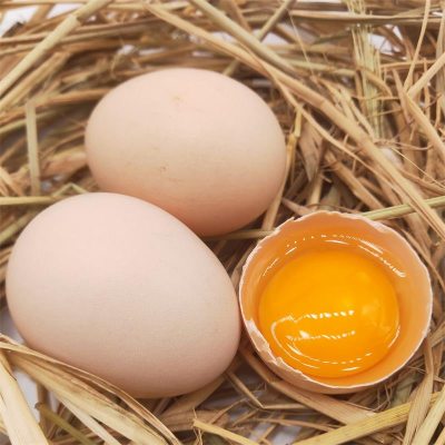 土鸡蛋 农家散养土鸡蛋40枚新鲜正宗土鸡蛋营养土鸡蛋