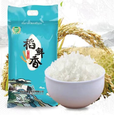 稻鲜香米10斤装大米