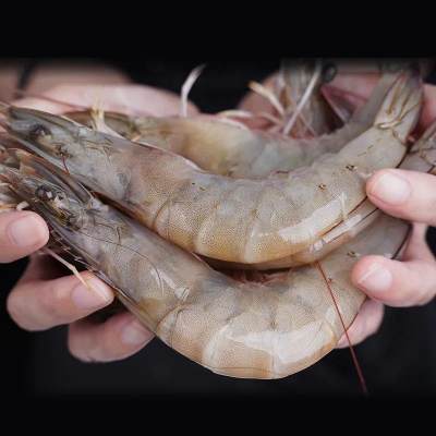 【4斤】新鲜青岛大虾超大海虾海鲜水产鲜活活虾冷冻白对虾基围虾生鲜一箱