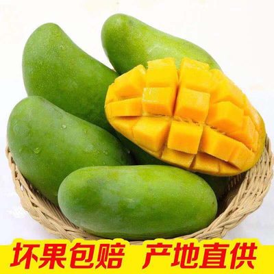 进口芒果青玉芒果新鲜水果大青芒果薄核甜芒果5/10斤大果
