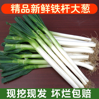 山东大葱精品铁杆大葱5斤/10斤可选去皮大葱