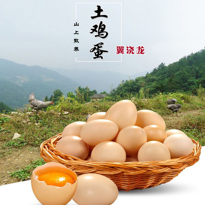 山西无污染深山跑山鸡散养玉米草籽虫子新鲜农家土鸡蛋50枚装包