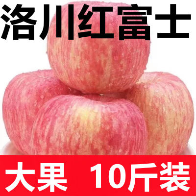 陕西洛川红富士苹果脆甜多汁当季新鲜10斤整箱水果批发
