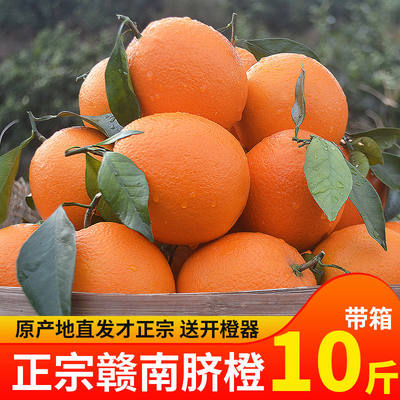 水果 江西赣南脐橙 新鲜水果橙子脐橙带箱10斤大果